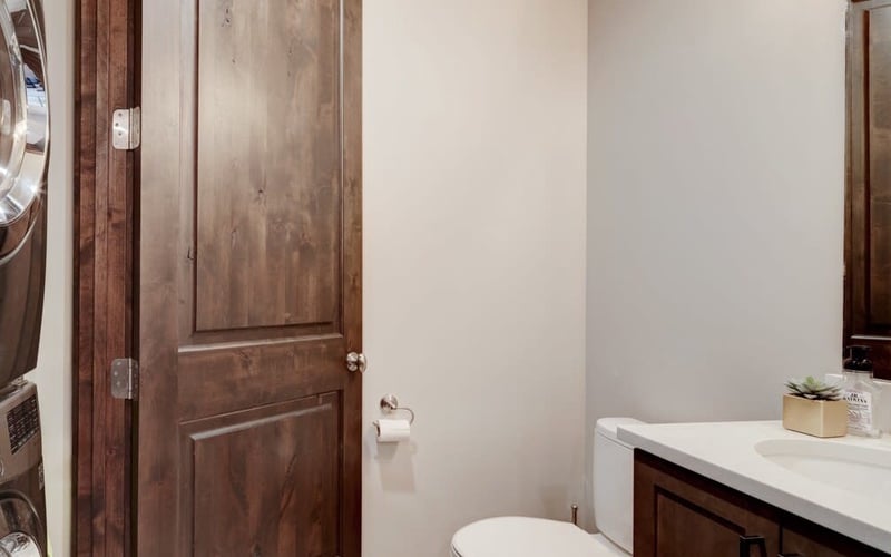 Bathroom with white walls, dark wood door, white toilet, and vanity with sink and small potted plant